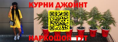 jwh Моздок