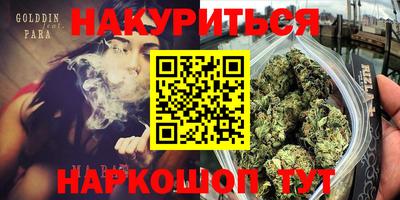 тгк Можга