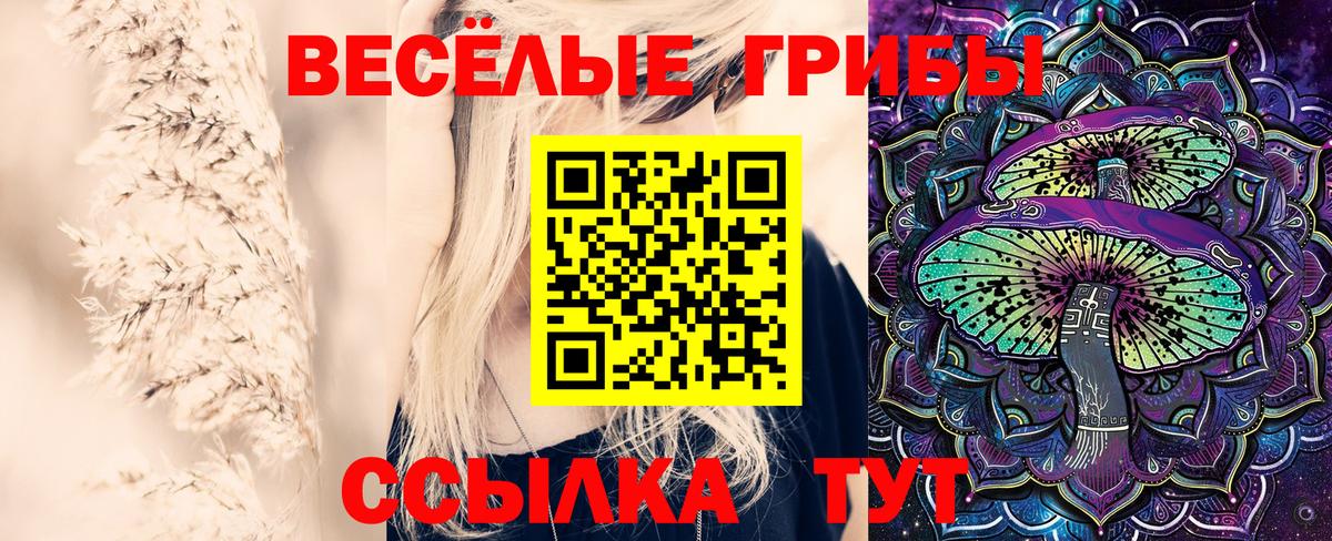 Псилоцибиновые грибы ЛСД Десногорск