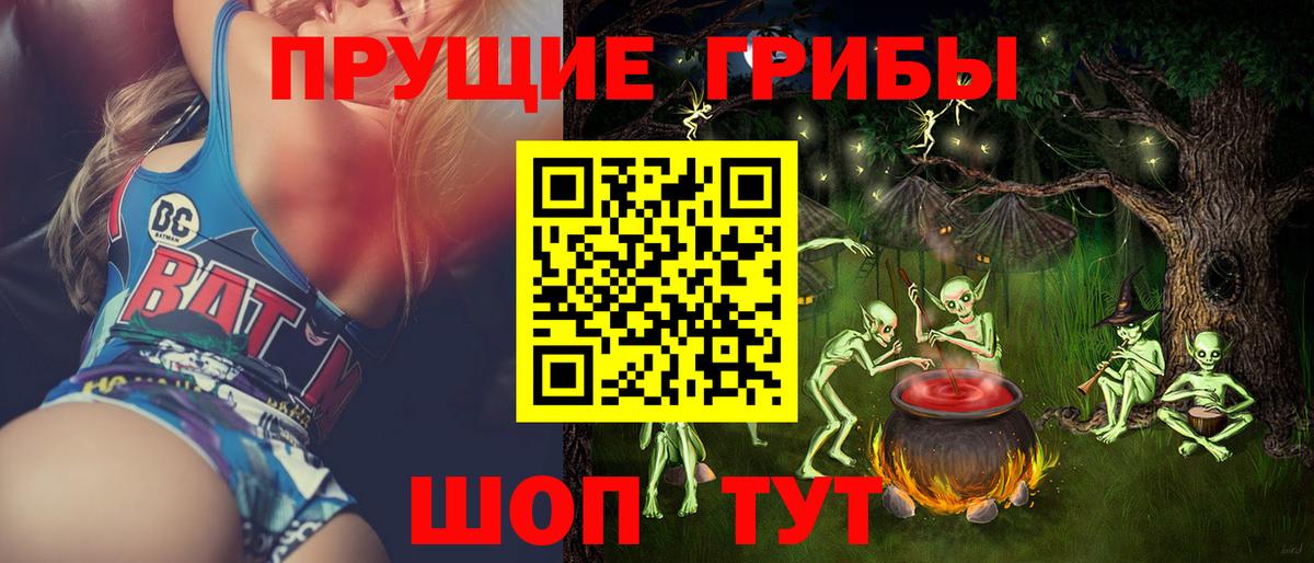 Десногорск  Псилоцибиновые грибы Psilocybe  Вход с VPN 